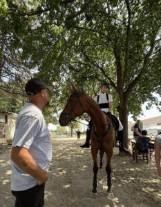 Taktikai megbeszélés